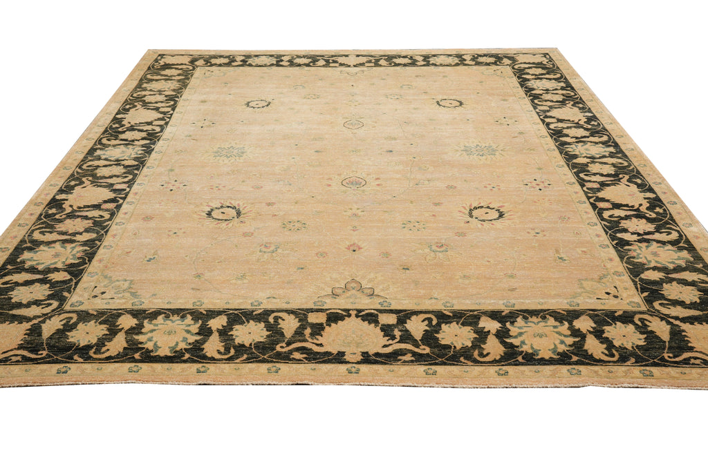8.8 x 11.8 Beautiful Quality Handmade Agra Rug Transitional Tan & Black #PIX-804-82