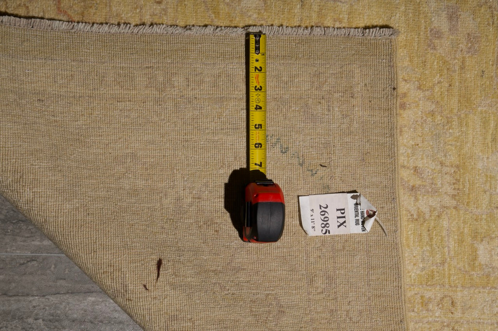 9.0 x 11.8 Neutrals Warm Pastels Ziglar Rug #PIX-26985