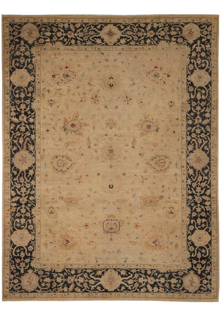 9 x 11.7 Transitional Handmade Agra Rug