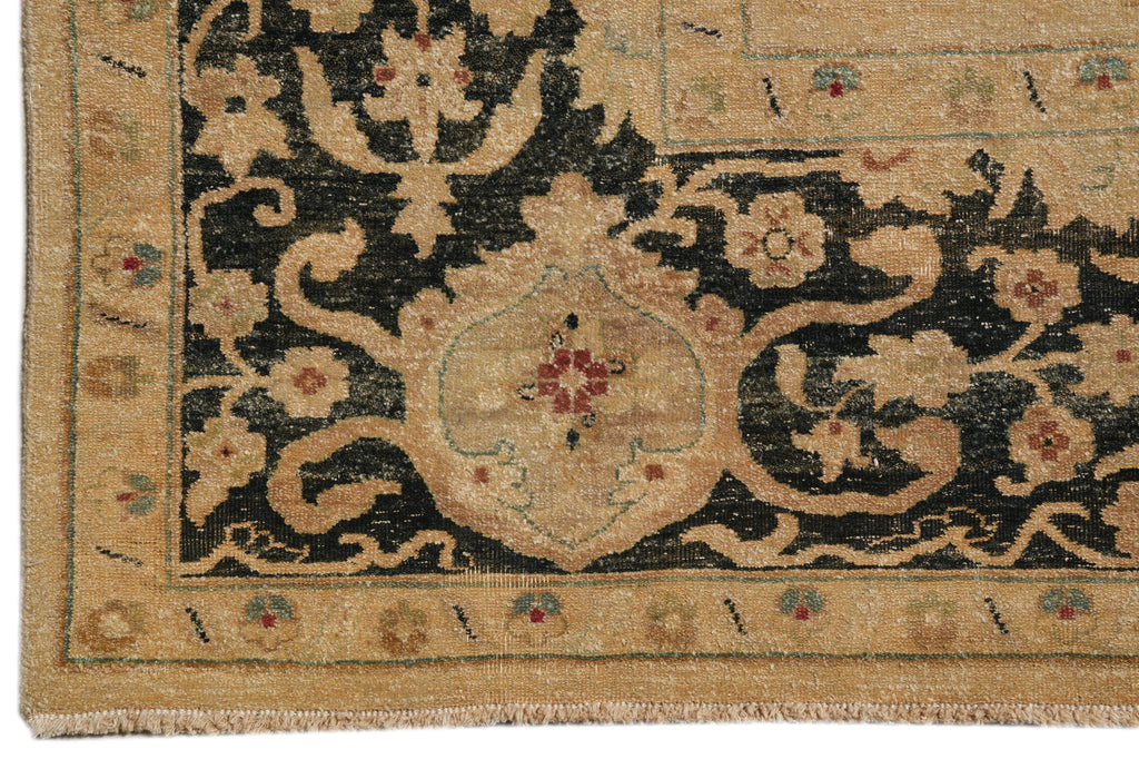 9 x 11.7 Transitional Handmade Agra Rug #PIX-804-77