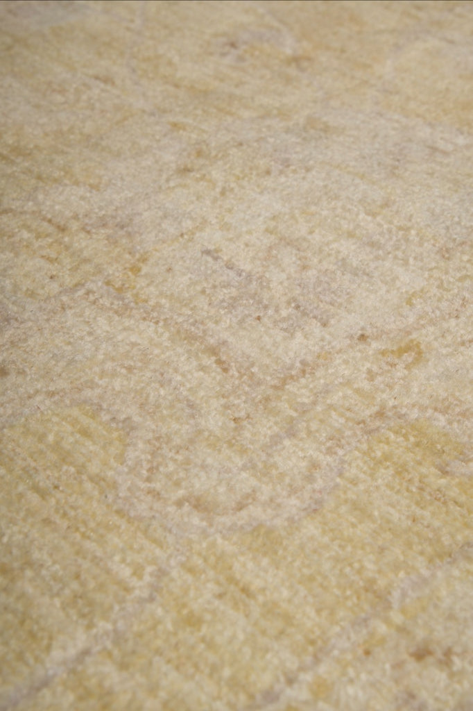 9.0 x 11.8 Neutrals Warm Pastels Ziglar Rug #PIX-26985