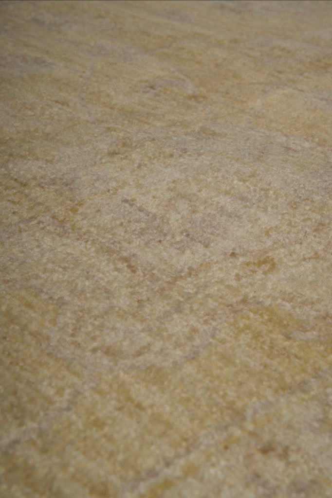 9.0 x 11.8 Neutrals Warm Pastels Ziglar Rug #PIX-26985