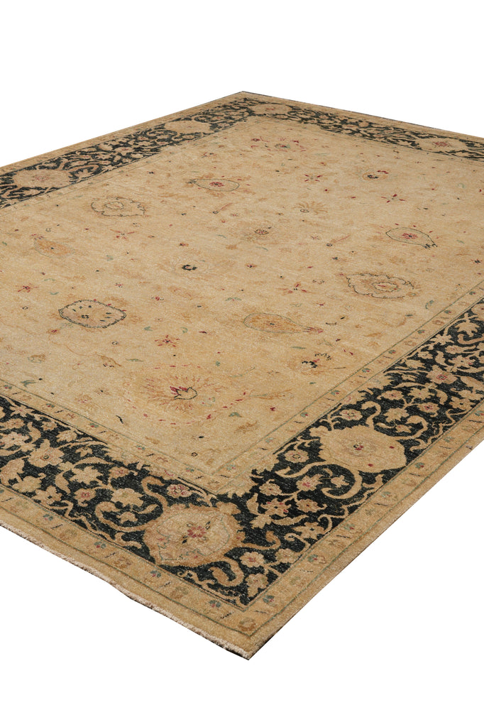 9 x 11.7 Transitional Handmade Agra Rug #PIX-804-77