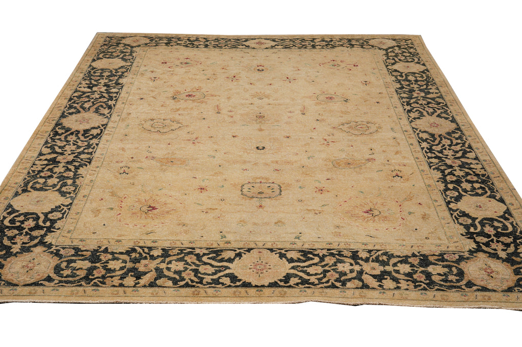 9 x 11.7 Transitional Handmade Agra Rug