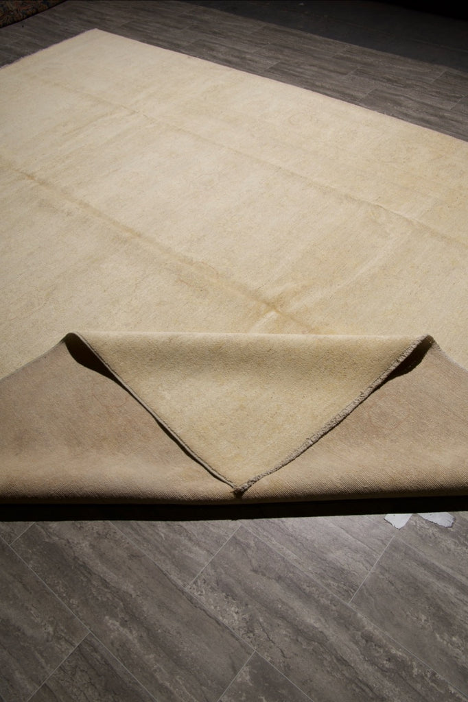 9.1 x 11.9 Neutral Warm Colors Ziglar Chobi Peshawar Rug #PIX-26984