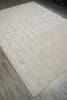 Load image into Gallery viewer, 9 x 12 Neutral Silver Contemporary Handmade Rug Bamboo SIilk #B-75316