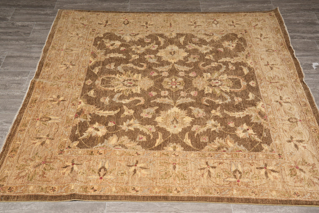 5.9 x  6.0 Feet Square New Handmade Chobi Ziglar Pershawar Rug Brown #F-4021