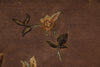 Load image into Gallery viewer, 6.0 x 6.2 Square Fine Handmade Wool and Silk Transitional Rug  #F-4034