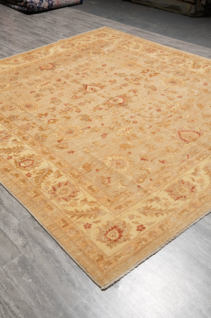 8 x 9.5 New Handmade Zigler Chobi Peshawar Rug Neutrals #PIX-11574