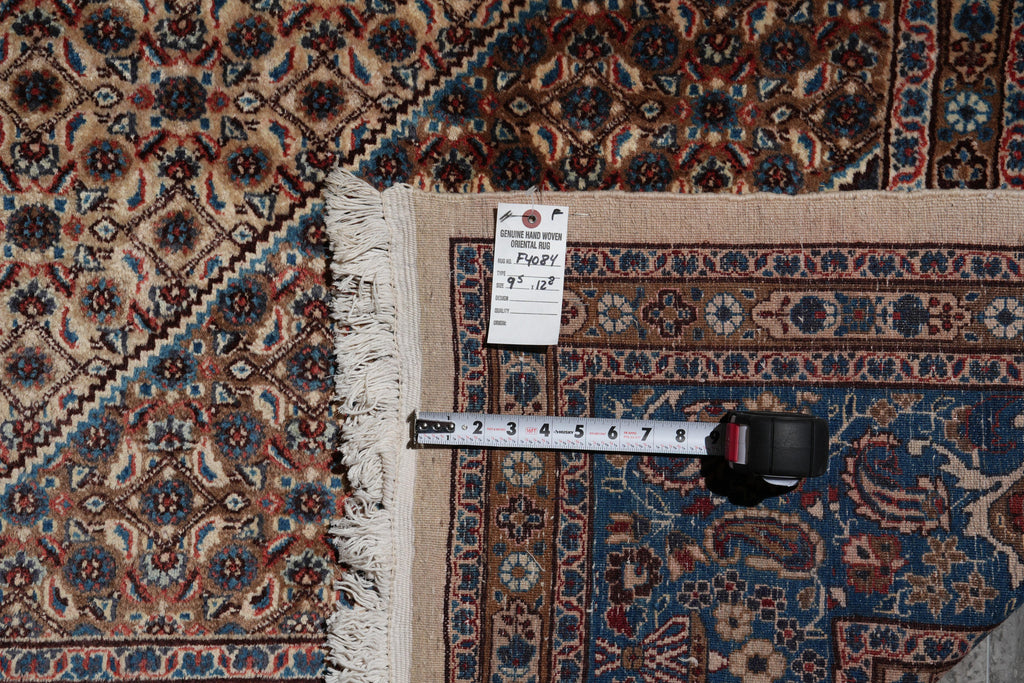 9.5 x 12.8 Persian Birjand Rug 1970's #F-4084