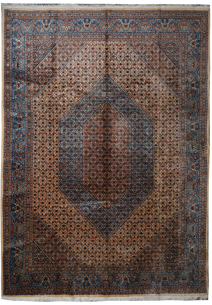 9.5 x 12.8 Persian Birjand Rug 1970's #F-4084