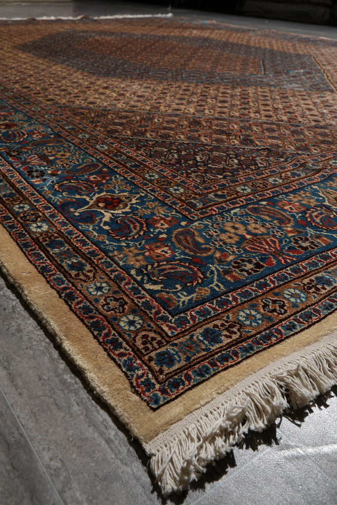 9.5 x 12.8 Persian Birjand Rug 1970's #F-4084