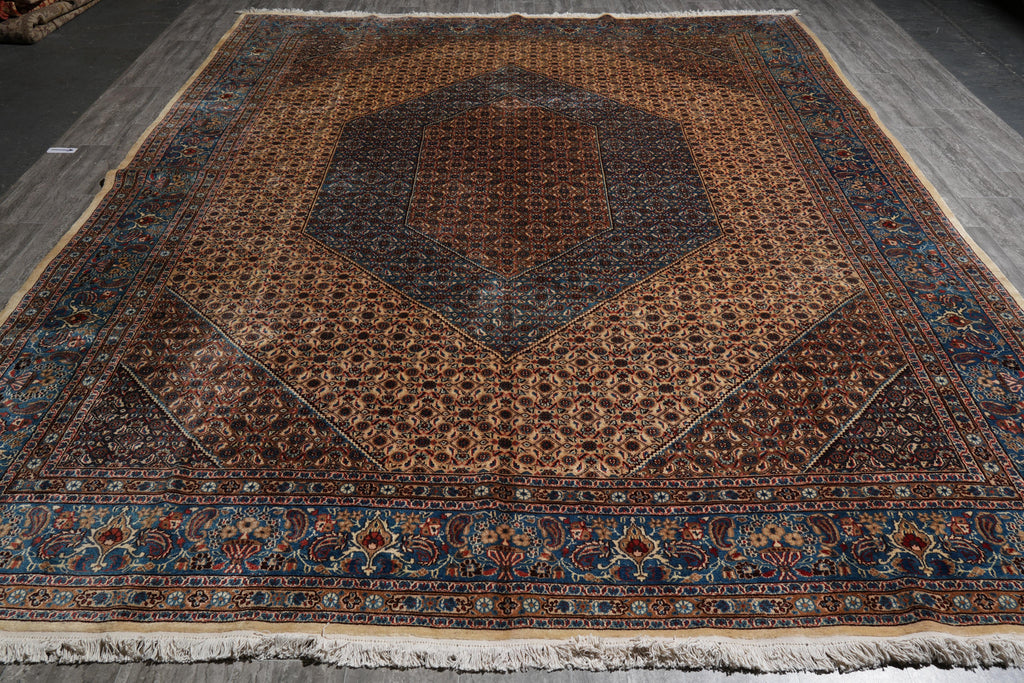 9.5 x 12.8 Persian Birjand Rug 1970's #F-4084
