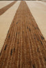 Load image into Gallery viewer, 9 x 12 Modern Wool Rug Handmade India #F-4096