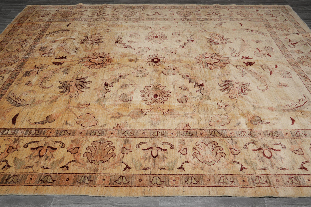 9 x 12 New Ziglar Chobi Handmade Rug Natural Wool Transitional #F-4098