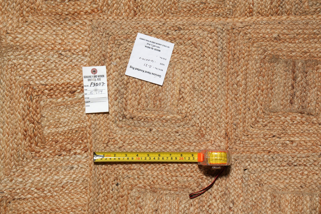 10 x 14 Beautiful Sisal Rug Imported India #F-3307