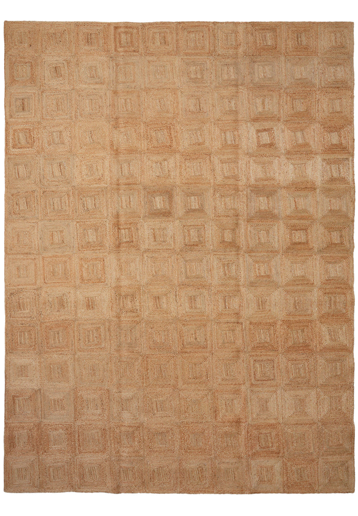 10 x 14 Beautiful Sisal Rug Imported India #F-3307