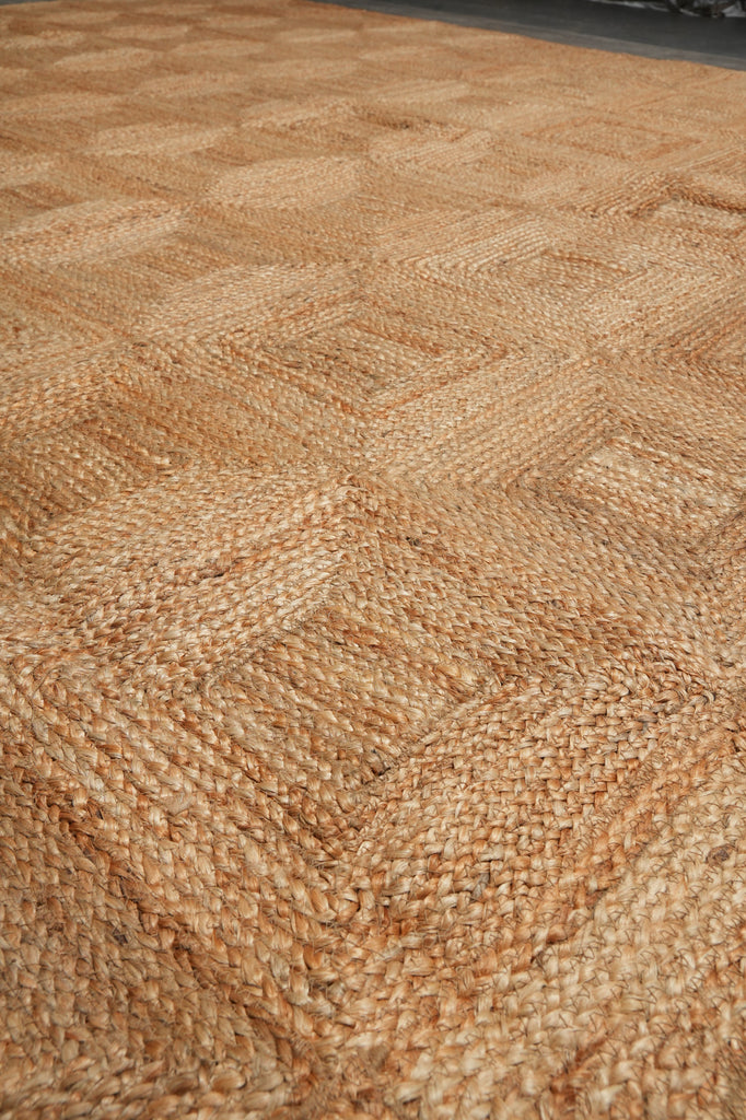 10 x 14 Beautiful Sisal Rug Imported India #F-3307