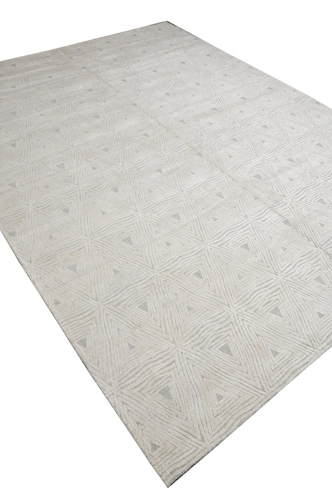 9 x 12 Handmade Contemporary Wool Imported Rug #F-3337
