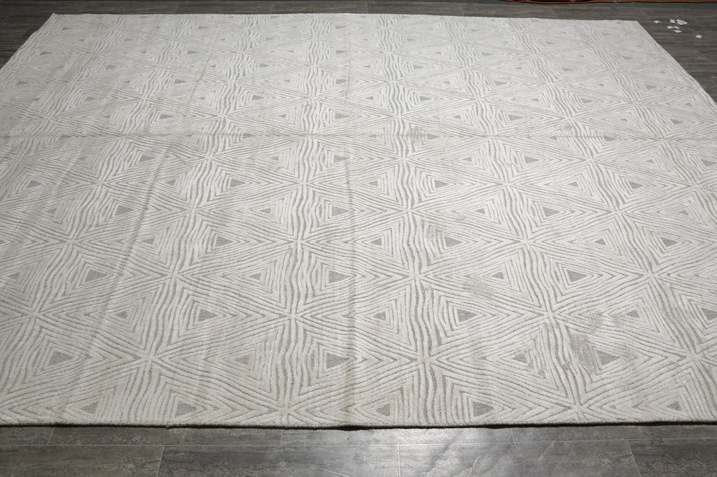 9 x 12 Handmade Contemporary Wool Imported Rug #F-3337