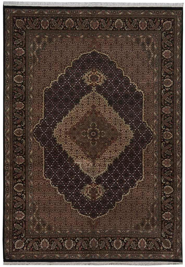 5.9 x 8  Tribal Traditional Persian Wool Silk Vibrant Hamadan Rug 