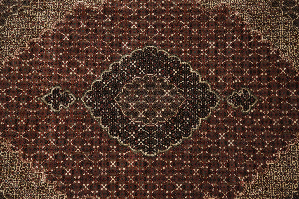8 x 10 High Quality Woo Silk Hand-Knotted Rug Tabriz Mahi Pom Roby #F-3085