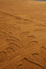 Load image into Gallery viewer, 9 x 11.9 Contemporary  Solid Rust Colour Handmade Rug #F-6304