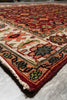 Load image into Gallery viewer, 6 x 9.1 Handmade India Wool Mahal Rug #F-4445