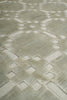 Load image into Gallery viewer, 8 x 10 Contemporary Handmade Rug One Color Light Green Bambo Silk Raised Carved Pile #F-3353