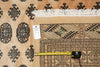 Load image into Gallery viewer, 9 x 12 Bokhara Rug Beige Hand-Knotted Pakistan #F-3124