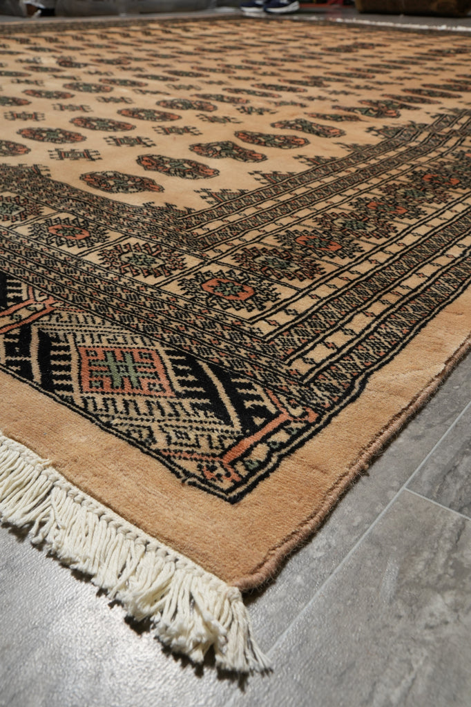 9 x 12 Bokhara Rug Beige Hand-Knotted Pakistan #F-3124