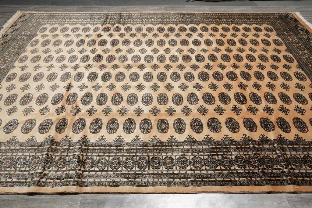 9 x 12 Bokhara Rug Beige Hand-Knotted Pakistan #F-3124