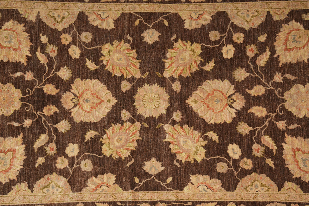 5.5 x 9 Chocolate Brown Hand-Knotted Zigler Chobi Peshawar Rug #PIX-17353