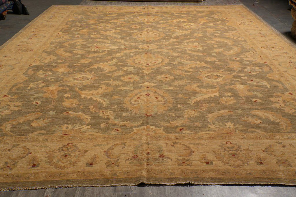 13.10 x 19.7 Natrual Qualitu Zigler Chobi Peshawar Rug Sage Green