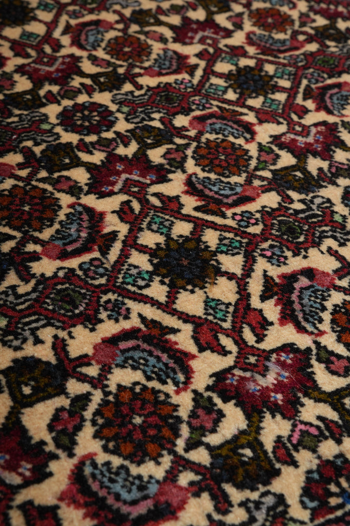 6.6 x 8.8 Quality Persian Bijar Rug - view 10
