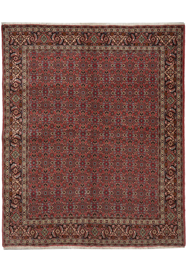 6.6 x 8 High End Persian Bijar Rug