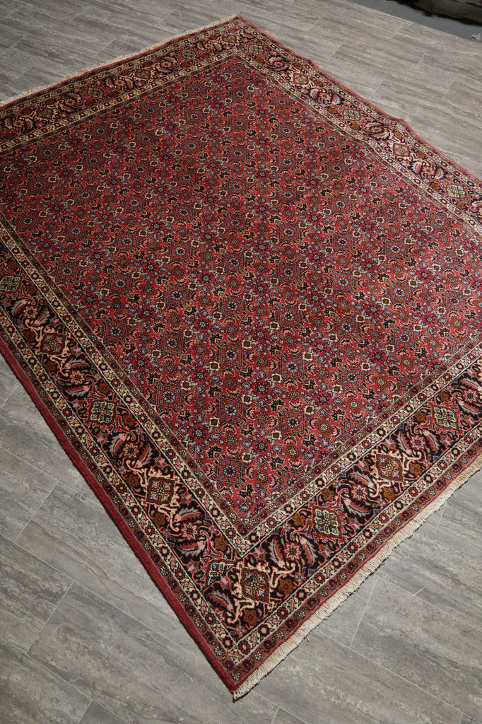 6.6 x 8 High End Persian Bijar Rug - view 5