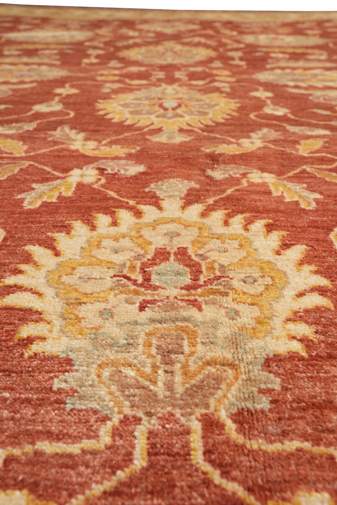 8.10 x 11.6 New Handmade Zigler Chobi Carpet Rust Coral #F-4181