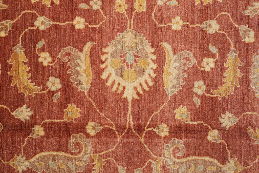 8.10 x 11.6 New Handmade Zigler Chobi Carpet Rust Coral #F-4181