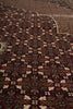 Load image into Gallery viewer, Close-up of a patterned rug with intricate designs.
