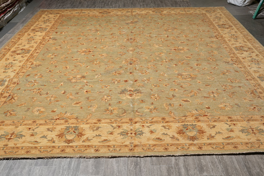 14 x 15.9 Light Green Chobi Peshawar Quality Natural Wool Rug #PIX-15431