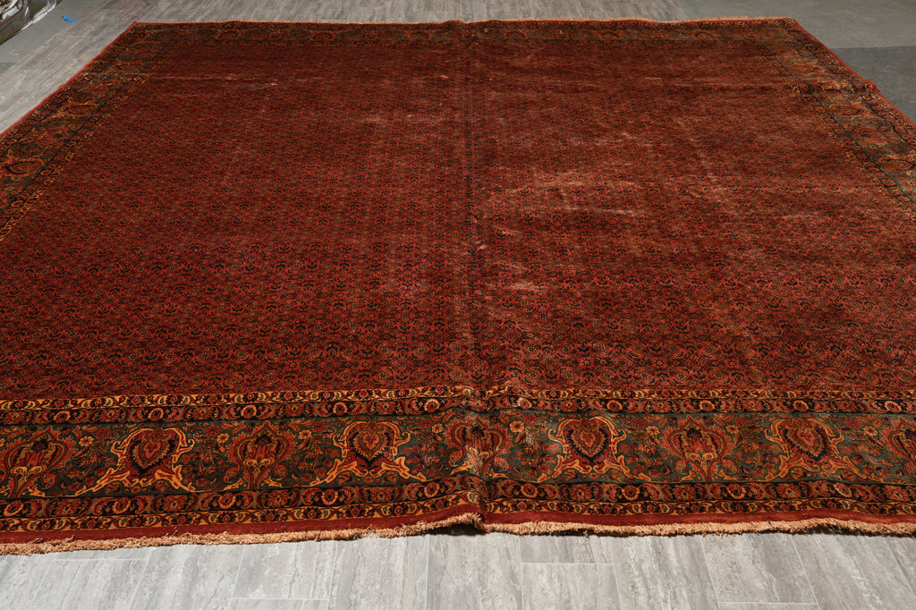 12.10 x 13.4 Square Persian Bijar Herat Rug Iran Large Rug