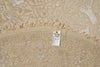 Load image into Gallery viewer, 6 x 6 Round handmade Wool and Silk Two Tone Muted Contemporary Transitional Rug  #F-4205