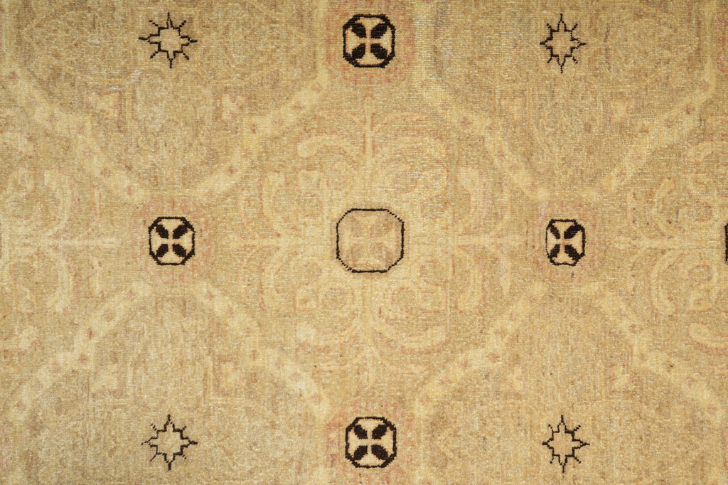 6 x 9 Hand-Knotted Chobi Peshawar Rug Transitional #F-5370