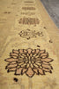 Load image into Gallery viewer, 6 x 9 Hand-Knotted Chobi Peshawar Rug Transitional #F-5370