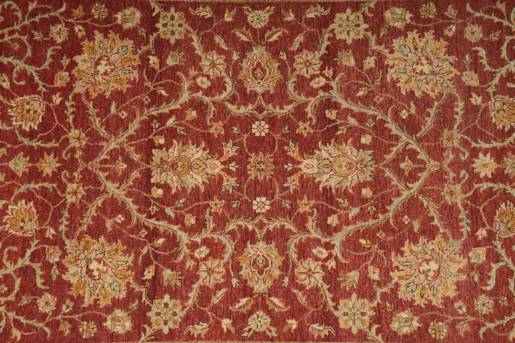 6 x 9 Beautiful Quality Hand-Knotted Chobi Peshawar Rug #B-74026