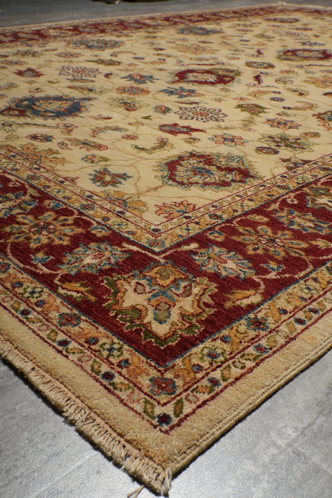 6 x 9 Beatiful Quality Hand-Knotted Chobi Agra Rug #B-74102