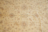 Load image into Gallery viewer, 9.9 x 13.4 Nice Quality Chobi Peshawar Rug Happy Warn Colors #PIX-15456