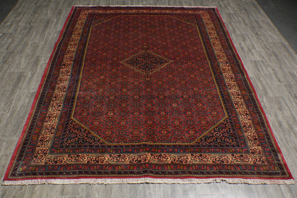 7 x 9.8 Salmon High End Persian Bijar Rug 72734