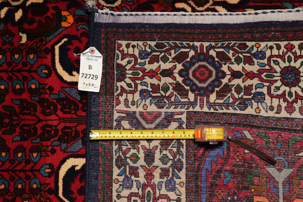 7 x 9.9 Tribal Persian Bakhtiar Rug #B-72729